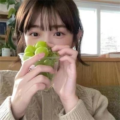 庇护棕榈树下